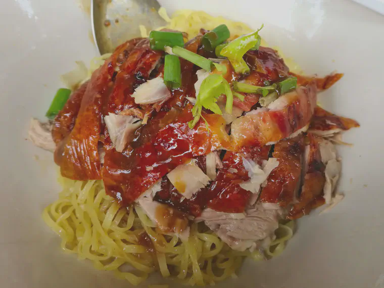 A generous portion of roasted duck in a bowl of noodles.