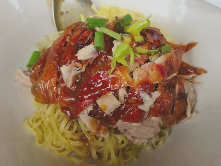 A generous portion of roasted duck in a bowl of noodles.