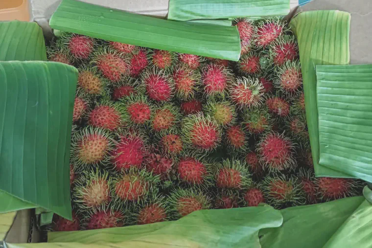 A 10 kg package of rambutan from Smile Heart Orchard.
